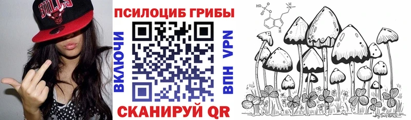 купить наркотик  Краснокаменск  Галлюциногенные грибы Magic Shrooms 