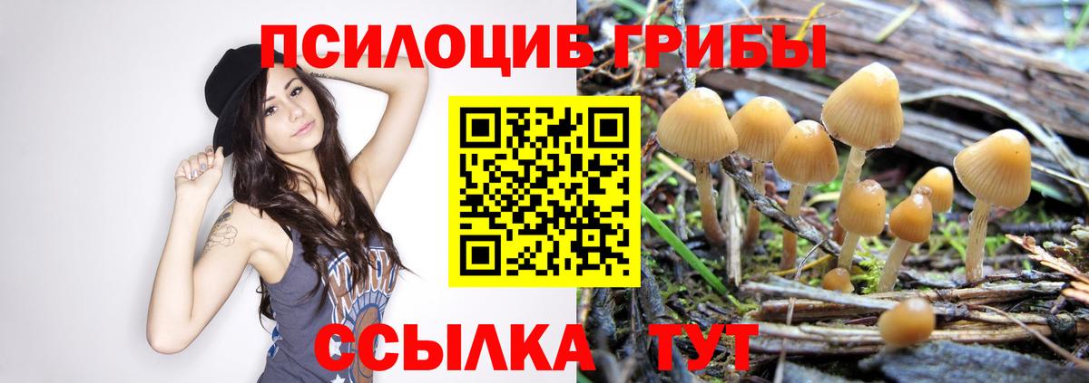 Галлюциногенные грибы ЛСД  Вход с VPN  Псилоцибиновые грибы GOLDEN TEACHER  Краснокаменск 